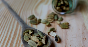 Cardamomo